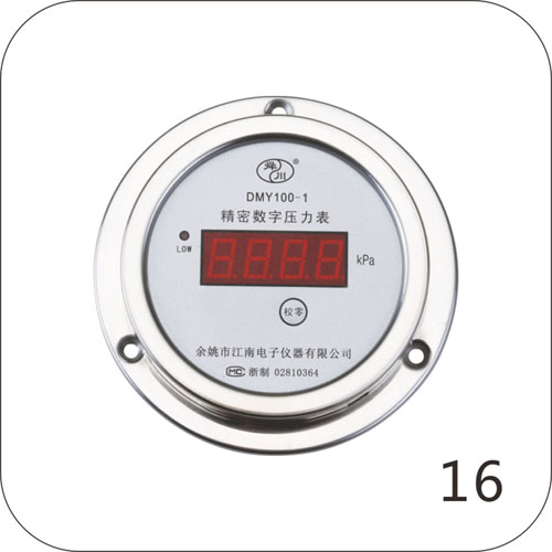 DMY100-1精密數(shù)字壓力表（軸向）